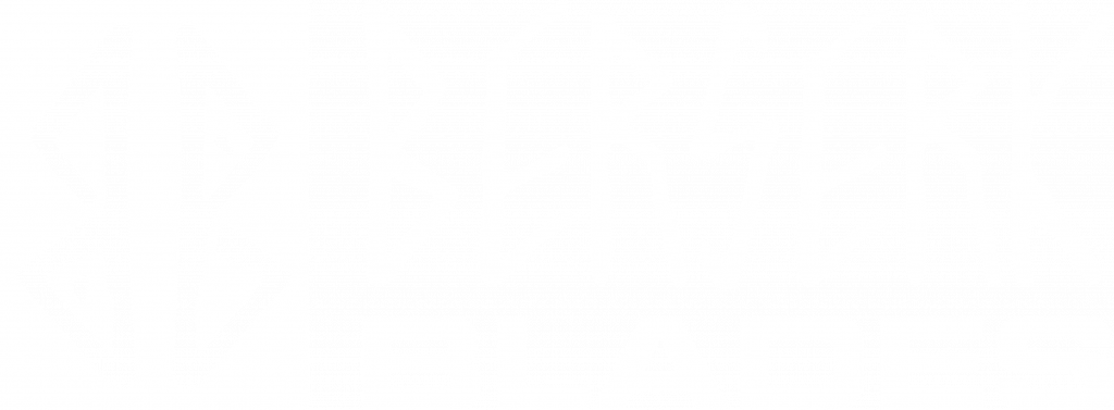 das logo der firma berserk blades