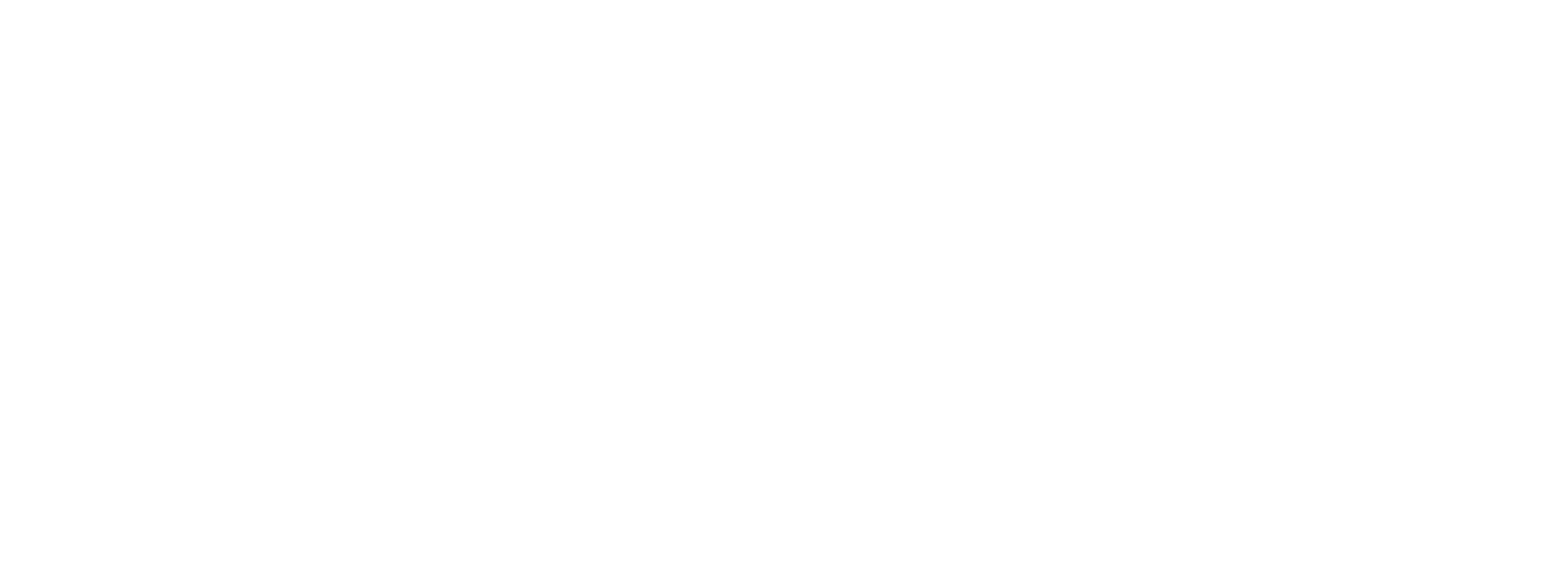 Das Logo der Marke Berserk Blades